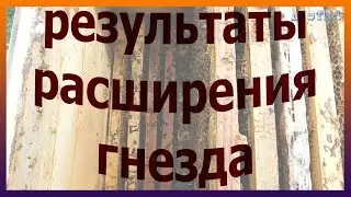 Результаты постановки второго корпуса. Расширение пчелиного гнезда корпусом.
