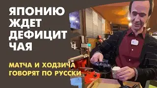Японский чай Origami Tea в магазине Территория Кофе набирает популярность