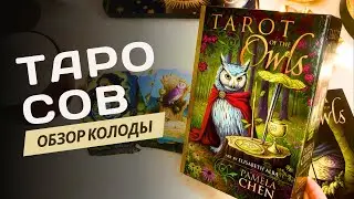 ТАРО СОВ 🦉ОБЗОР КОЛОДЫ 🦉TAROT OF THE OWLS