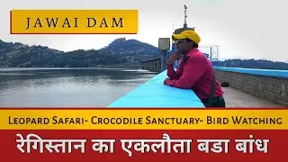 जवाई सागर बांध की विडिओ | Jawai Sagar Dam Water Level | Jawai Bandh Pali- Rajasthan