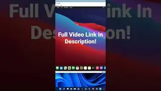 macOS on Windows 11