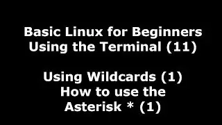 Linux Terminal for Beginners - 11 - Introduction on how to use the asterisk wildcard (*)