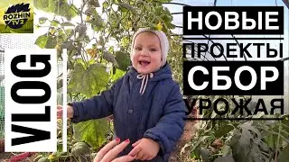 УТЕПЛИТЬ ТЕПЛИЦУ  ЗАДАЧА деревнеский VLOG огурцы в вакууме