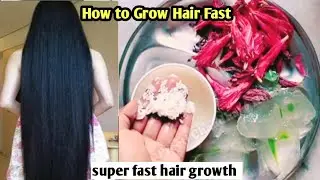 सिर्फ एक रात में 2 इंच बाल लंबे करने का तरीका How to get Long Hair Fast? Stop Hairfall /Shiny Hair