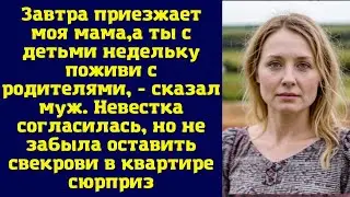 Завтра приезжает моя мама, а ты с детьми недельку поживи с родителями», - сказал муж