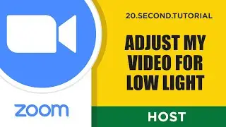 Adjust video for low light – Host Zoom Tutorial #25