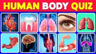 The Human Body Quiz: How Many Human Body Parts Can You Guess? 🧠🦴🦵