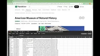 How to scrape and export Tripadvisor reviews to CSV 2024