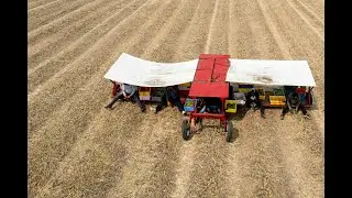 See the painstaking process of how Asparagus is harvested in Michigan