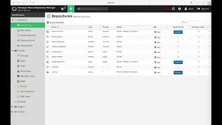 Nexus Repository 3.20 - R Format Support