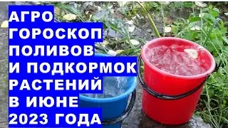 Агрогороскоп поливов и подкормок растений сада и огорода в июне 2023 года