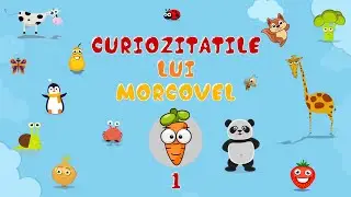 Sa Invatam Cu Morcovel - Prietenii Lui Morcovel Episodul 1