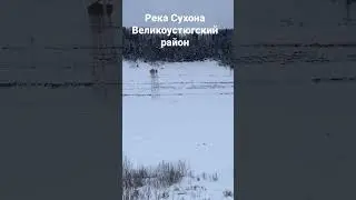 Река Сухона, Опоки, Великоустюгский район. Январь 2023 г.