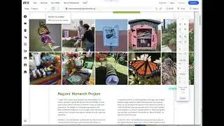 Wix Website Design: Overlapping Images & Text