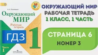 Окружающий мир. Рабочая тетрадь 1 класс 1 часть. ГДЗ стр. 6 №3