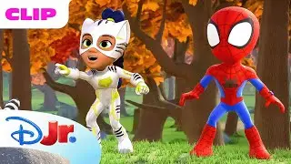 Marvel's Spidey and his Amazing Friends | Fool's Gold | @disneyjr