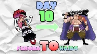 Perona To Kaido | Day 10 | WE UP!!!🗣