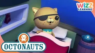 Winter with the Octonauts | Wizz Learning