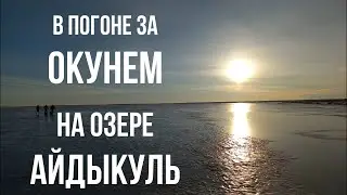 В погоне за ОКУНЕМ на озере АЙДЫКУЛЬ.