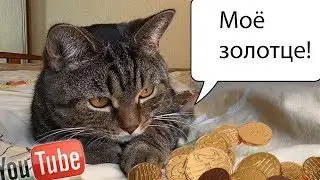 Монетизация в 2018 Youtube ввел новые правила