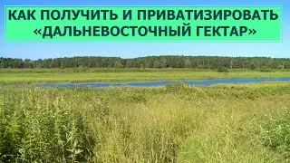 Как получить и приватизировать «Дальневосточный гектар»? Право знать 16.08.22