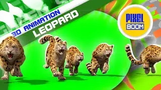 Leopard Green Screen Real Fur 3D Animation PixelBoom