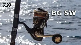 23 BG SW || JIGGING & CASTING || DAIWA