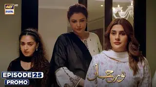 New! Noor Jahan Episode 25 | Promo | ARY Digital