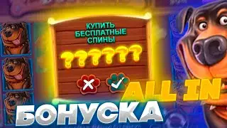 ALL IN БОНУСКА В THE DOG HOUSE MEGAWAYS | УРВАЛИ КАМБЭК ЛАСТ БОНУСКОЙ ?!