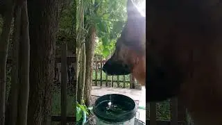 Вода хороший источник от жары!