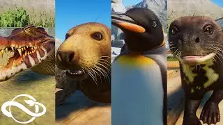 Animal Showcase! All The New Aquatic Pack Animals! | Planet Zoo Aquatic Pack