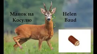 Манок для приманивания самца косули Helen Baud 53 (Франция) Гофрированный пневматический манок.