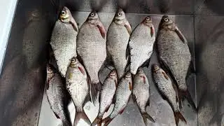 В сентябре бывают дни, как будто снова с нами лето...
