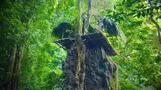 Build a shelter on 15m high pyramidal rock. Complete the roof and set traps for wild chickens - P.2