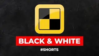 Black and White Fallacy (False Dichotomy) #shorts