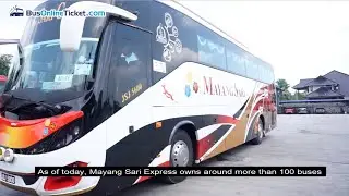 Mayang Sari Bus | Best of the Best Express Bus in Malaysia