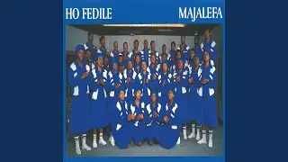 Ho Fedile
