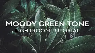 Dark & Moody GREEN TONE Lightroom Edit (Full Preset Walkthrough)