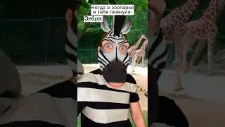 Плюнула зебра 😳 