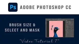 Learn Adobe Photoshop 2024 in Steps. Brush Size and Select and Mask