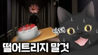 띵동 🎵  케이크 🍰 배달이요 🛵