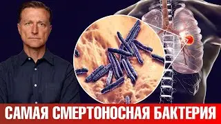 Самая смертоносная бактерия в мире😲 Берегитесь!