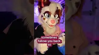 I'd love to follow more furries/therians 💕 #furries #furry #fursuit