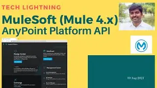 How to Access MuleSoft Anypoint Platform using API | API Platform API | Mule4 | Techlightning