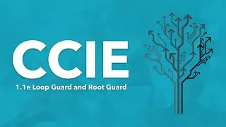 CCIE Topic: 1.1e Loop Guard and Root Guard