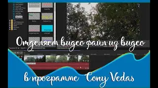 Как отделить музыкальный файл из видео в программе Sony Vegas