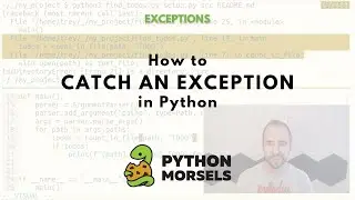 How to catch an exception in Python