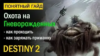 Destiny 2. Все про Охоту на Гневорожденных! Сезон Охота.