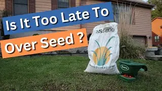 Is it too late to over seed? Maybe not, there are ways to expedite germination.