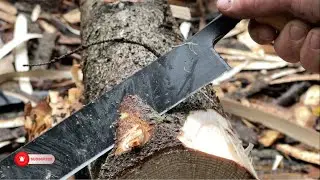Building my Dream Log Cabin in the Alaskan Wilderness - Episode 3